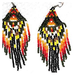 Seed beed  multi earrings